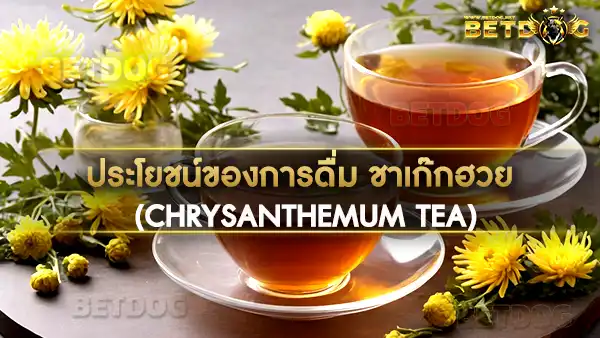 ชาเก๊กฮวย (Chrysanthemum Tea)