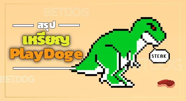 เหรียญ PlayDoge