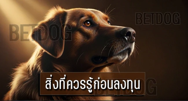 ขยายพันธุ์หมา