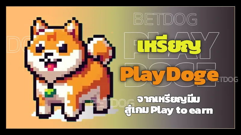 เหรียญ PlayDoge