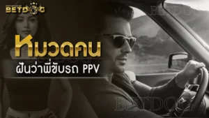 ฝันว่าพี่ขับรถ PPV