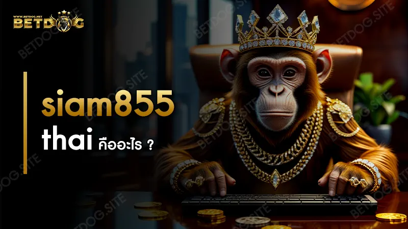 siam855 thai